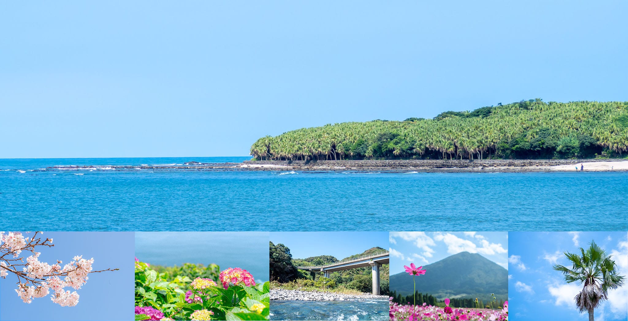 自然豊かな宮崎県の景色